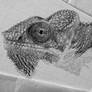 Hyper Realistic Chameleon sketch