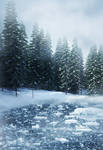 Winter Dream backgrounds by moonchild-lj-stock