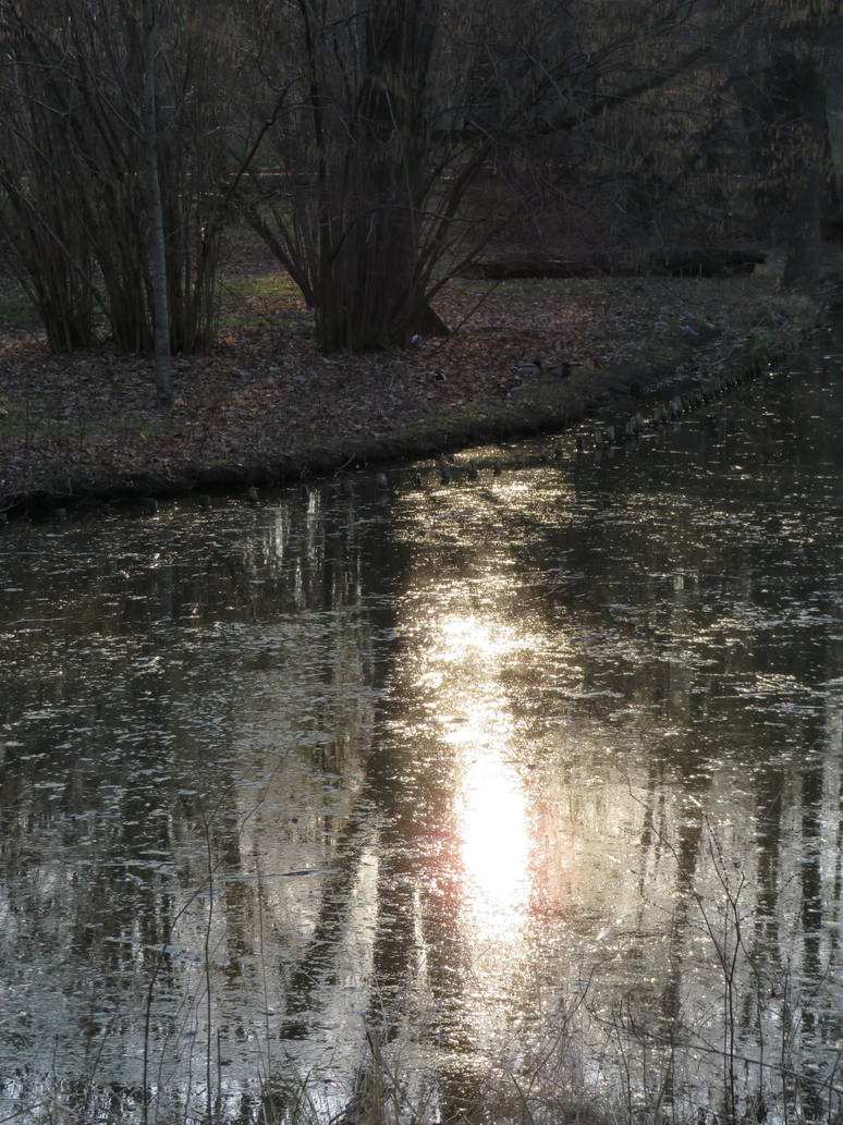 Sunny Reflection Sunny reflection by Morrauwen on DeviantArt