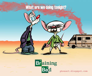 Pinkman and the Brain