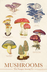 Mushrooms