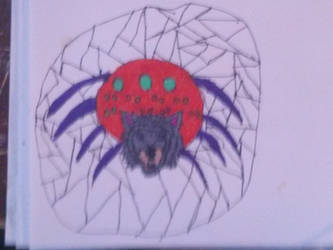 Animal mash up finished spider wolf