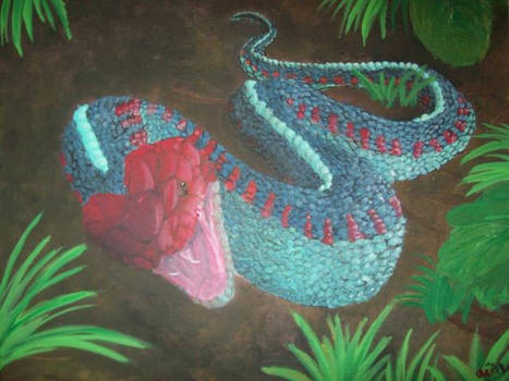Red Garter Snake