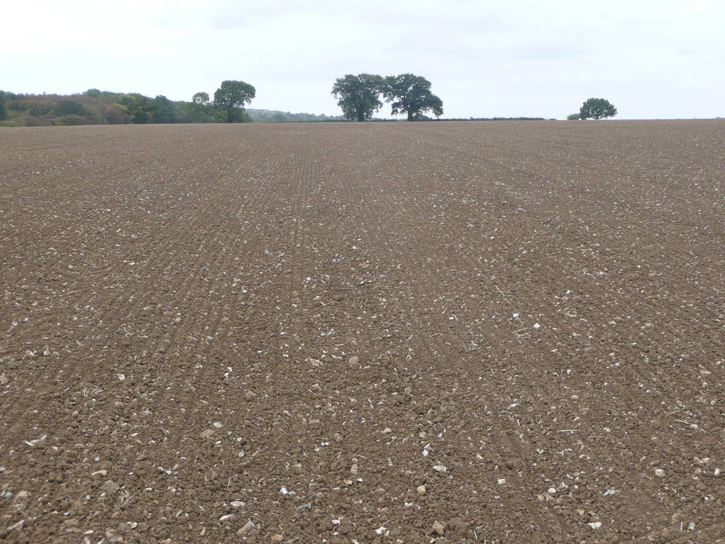 Bare Field 3 by AdenarKaren