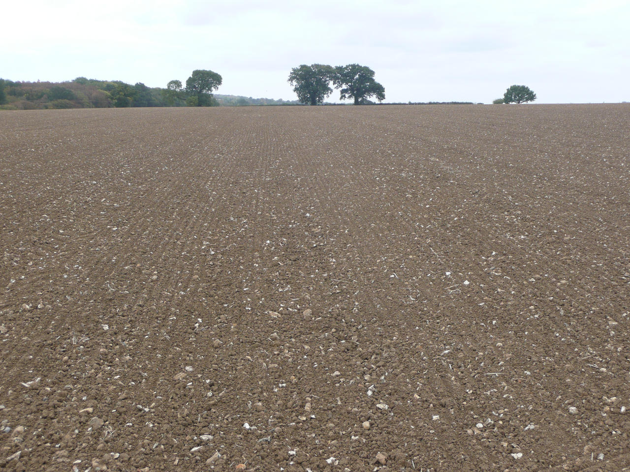 Bare Field 3 by AdenarKaren