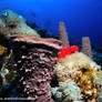 2014-05-24 19.27.42