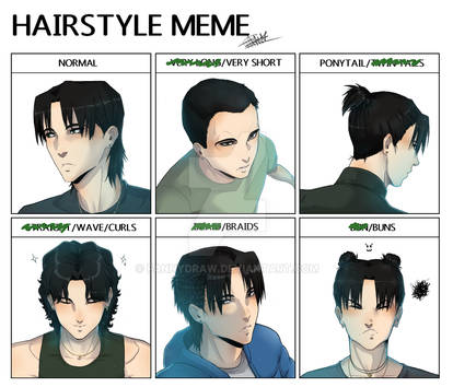 Deviantart Hairstyle Memes