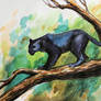 Panther