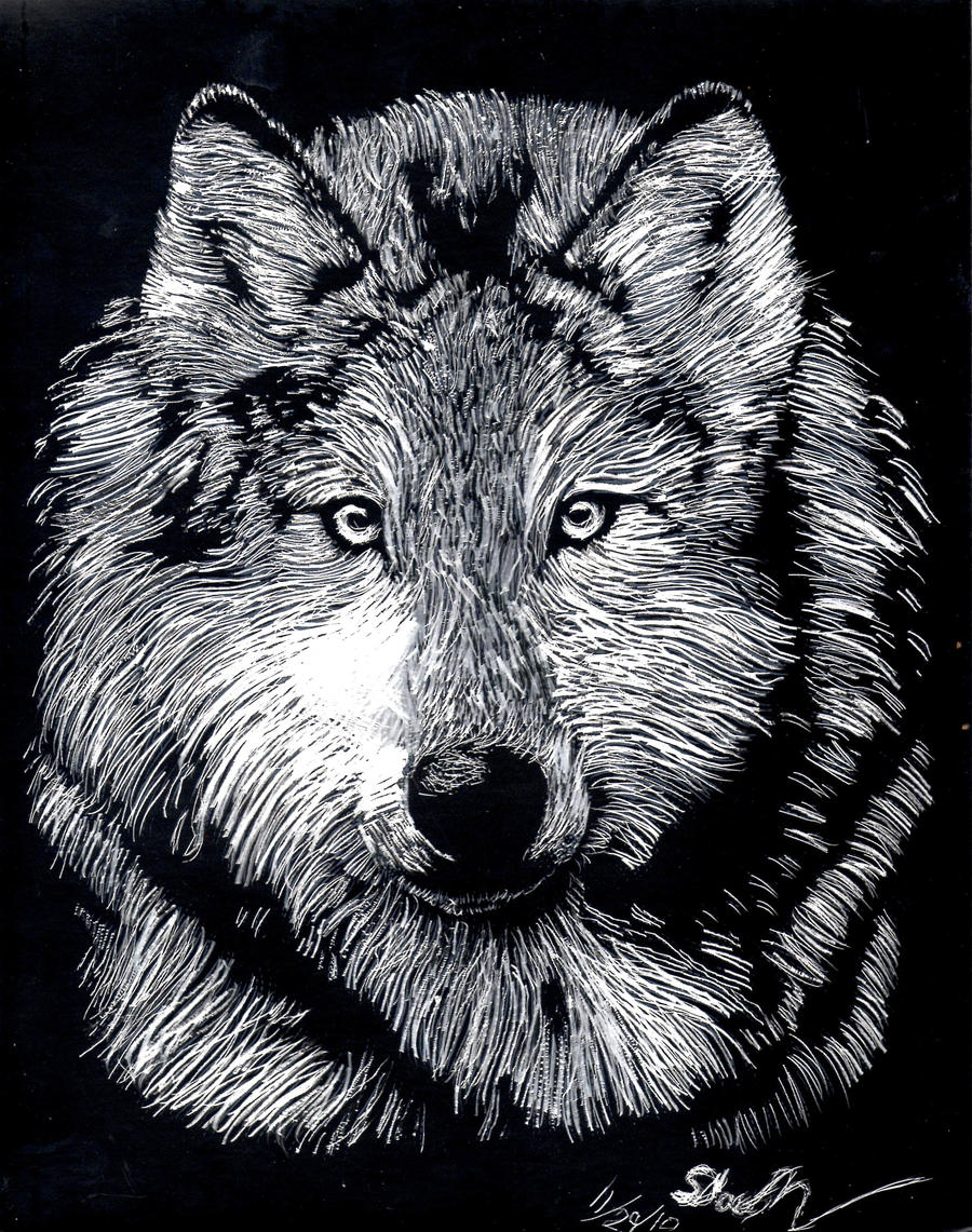 Timberwolves Scratch Wolf Scratchboard kit thingy by Dogmasda on DeviantArt