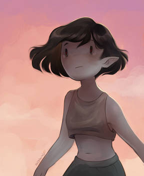 Marcy