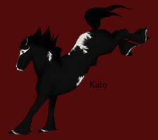 .:Kato:.