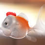Fish with 3dmax an mentalray