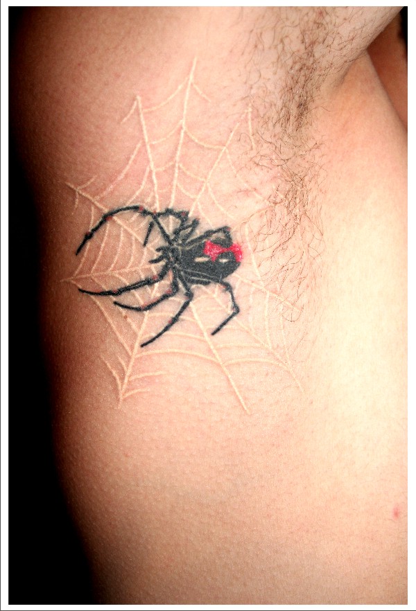 Spider + Web by melancholy-spiders on DeviantArt Spider + Web by melancholy-spiders on DeviantArt