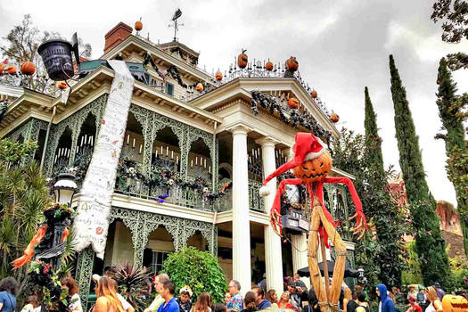 Whats your opinion on Haunted Mansion Holiday?