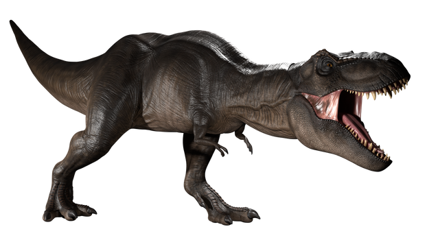 Rexy Break Out Alt Lighting