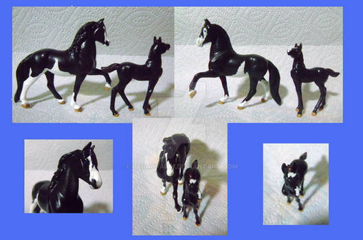 Custom horses