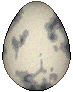 Mottled Talian Egg