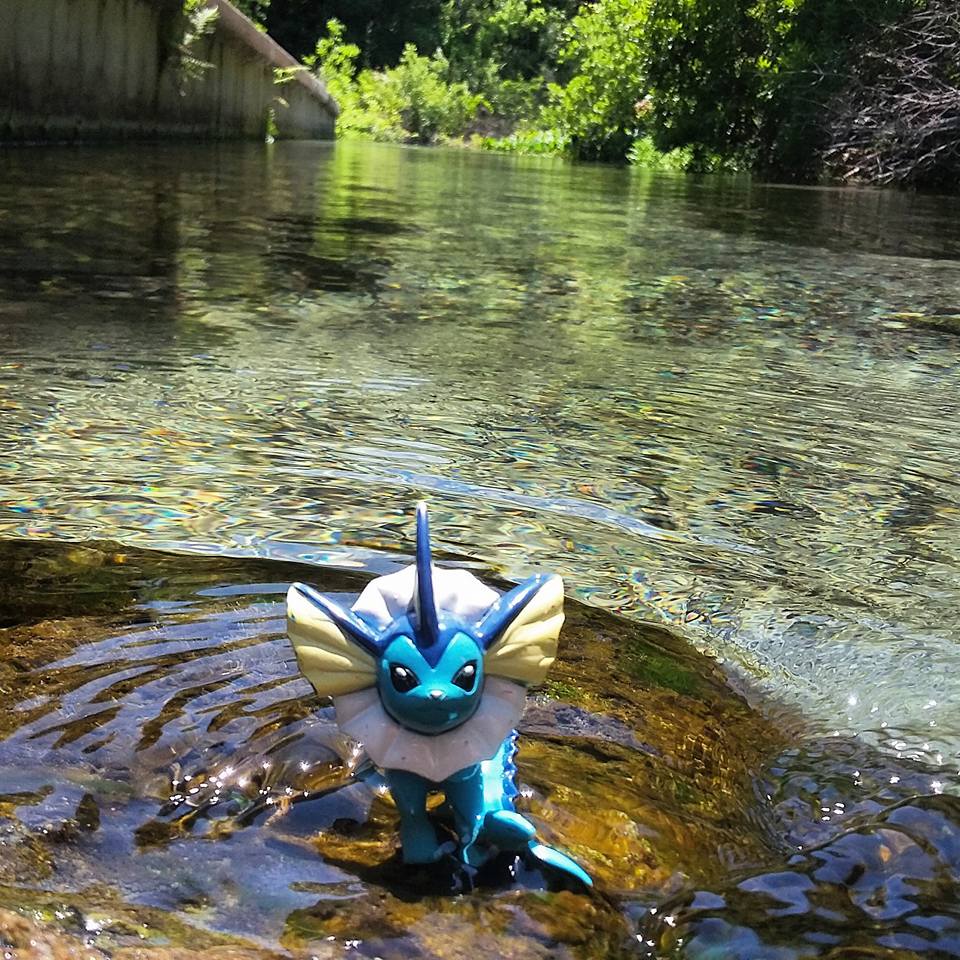 Vaporeon at the Springs!