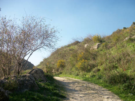 autumn path