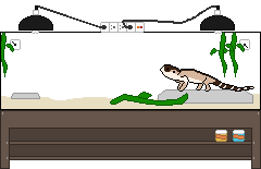 wallpapers Minecraft Bearded Dragon Pixel Art bearded dragon pixel by muddiy on