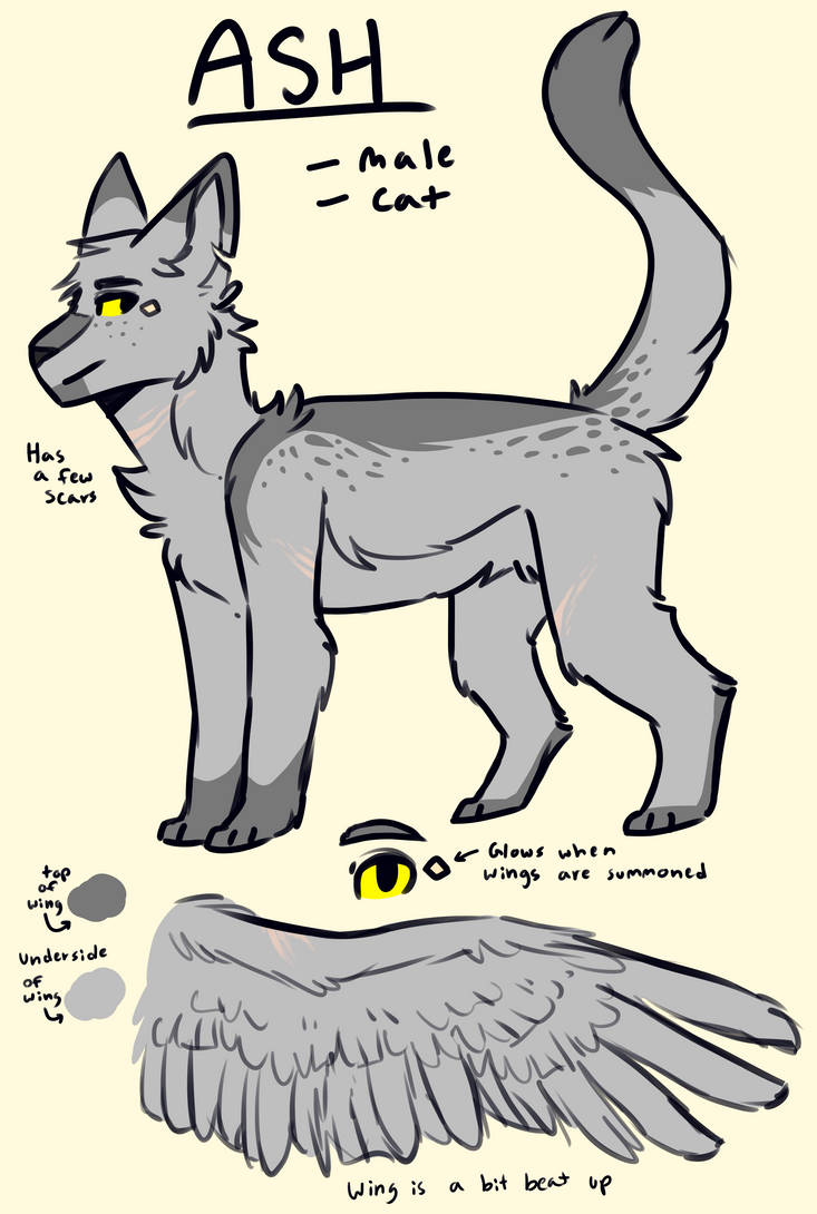 Ash Redesign By Polarade On Deviantart Ash Redesign By Polarade On Deviantart