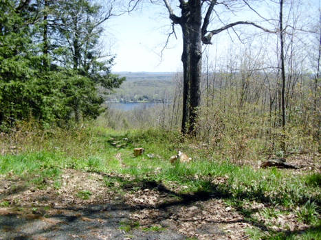 a tiny view of highland lake from plat hill