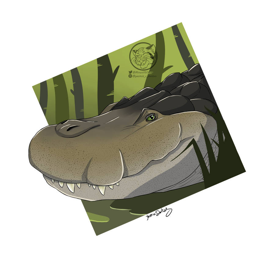 Minecraft Purussaurus Purussaurus by PurpleMargay on DeviantArt