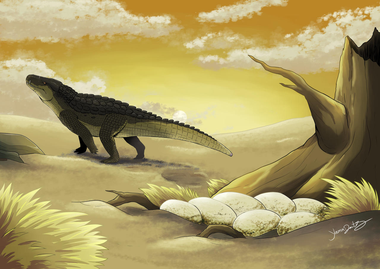 Baurusuchus Baurusuchus by PurpleMargay on DeviantArt