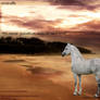 Horse manip layout not for free use