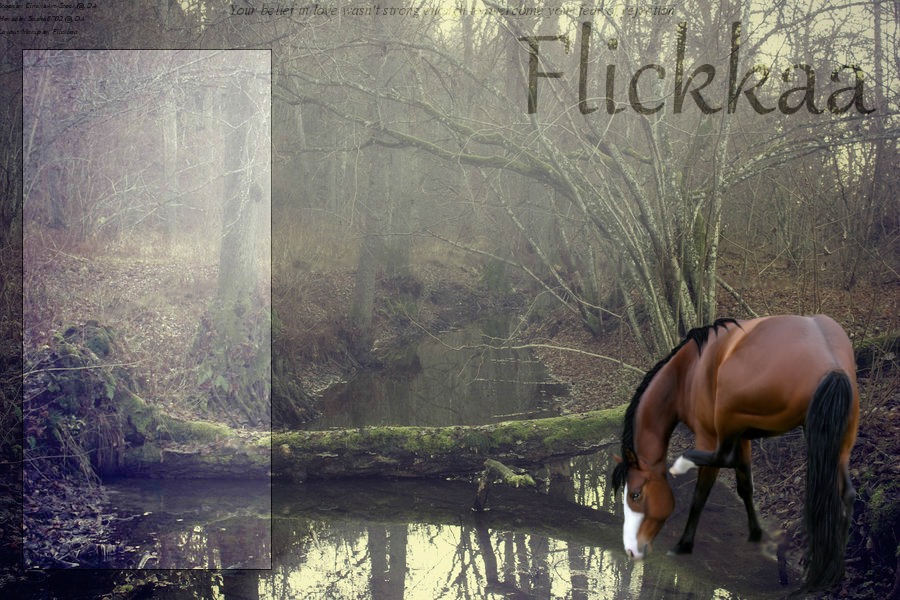 Layout/Manip not for free use