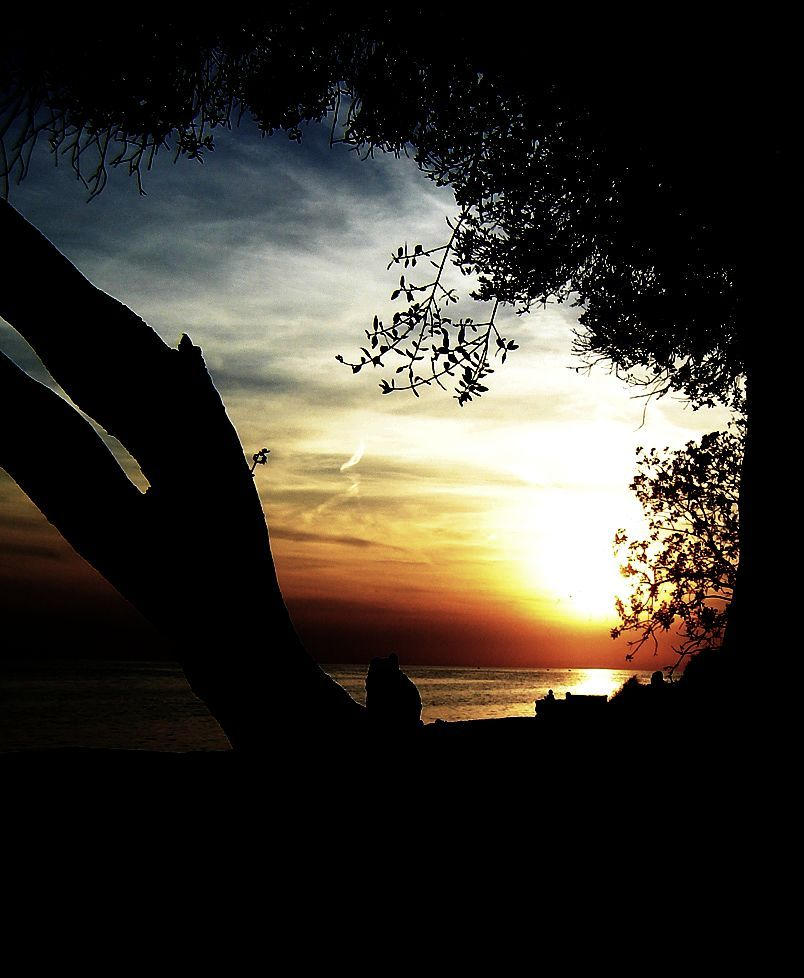 sunset by getia on DeviantArt