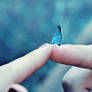 Love is like a butterfly