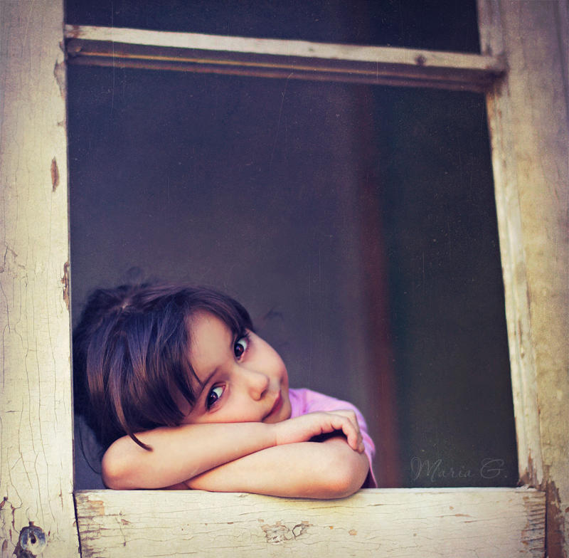 Sweety in the window by Daizy-M