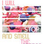 I Will Stop...