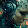 ROGUE: Memory Kernel 7.1.