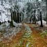 Path from autumn to winter