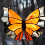 Monarch Butterfly