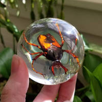 Beetle Crystal Ball