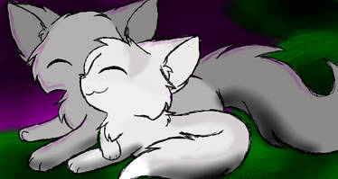 Graystripe X Millie