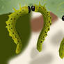 Caterpillars