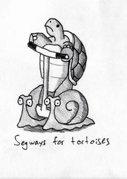 Segway for Tortoises