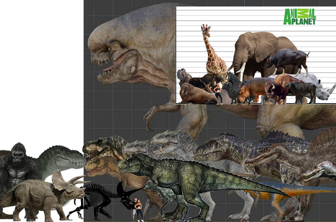 Random Sizes Sw Deviantart Random size chart by vanderqnest on DeviantArt