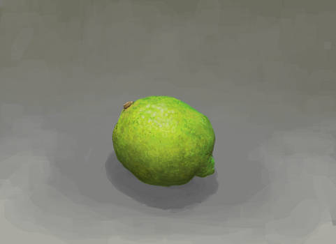 Lime Study