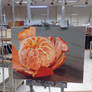 Photorealism Orange