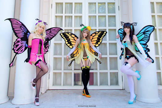 Tony Taka's  Fairies