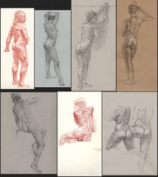 Drawings of backs