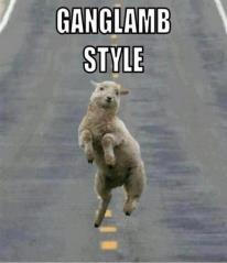 Ganglam style