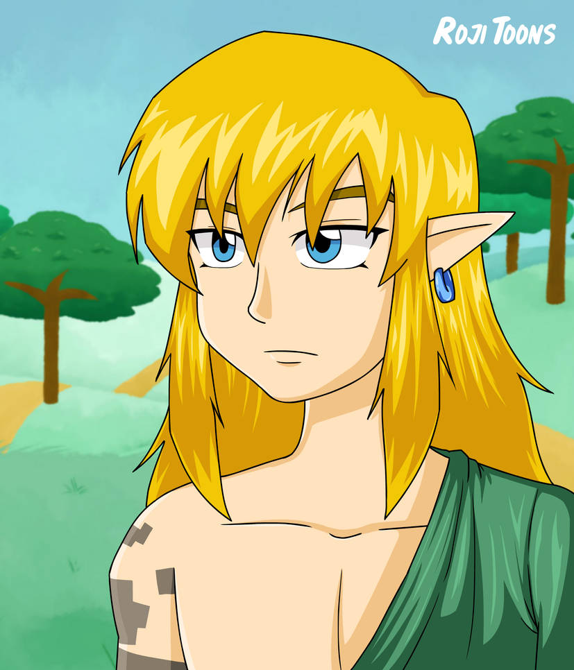 Link - Zelda Tears of the Kingdom by Pryismania on DeviantArt