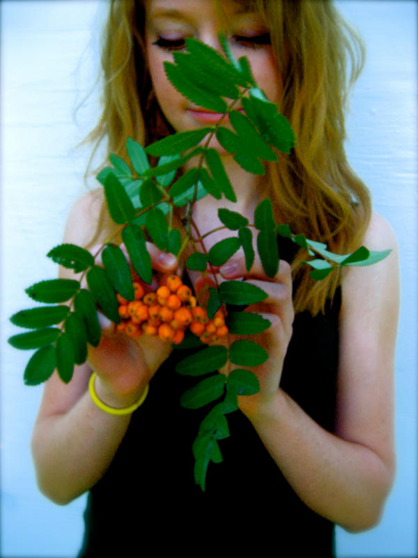 Pepper Tree by theseriouselephant on DeviantArt