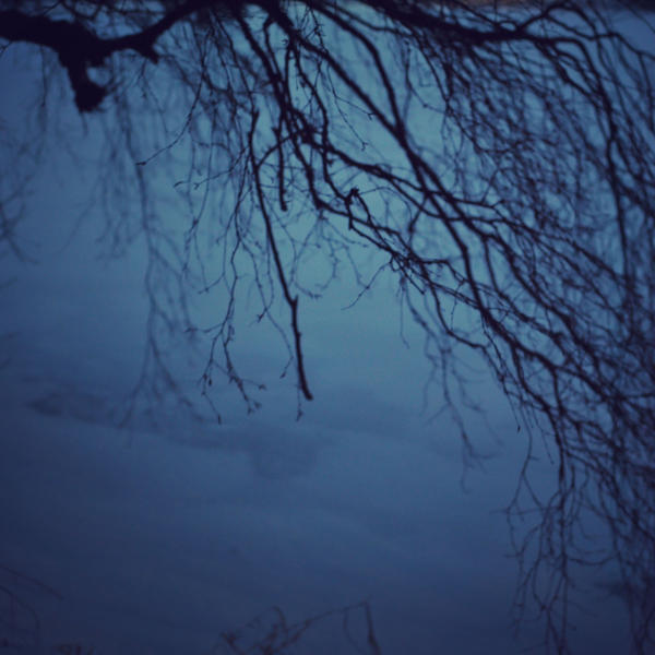 Winter Melancholy IV